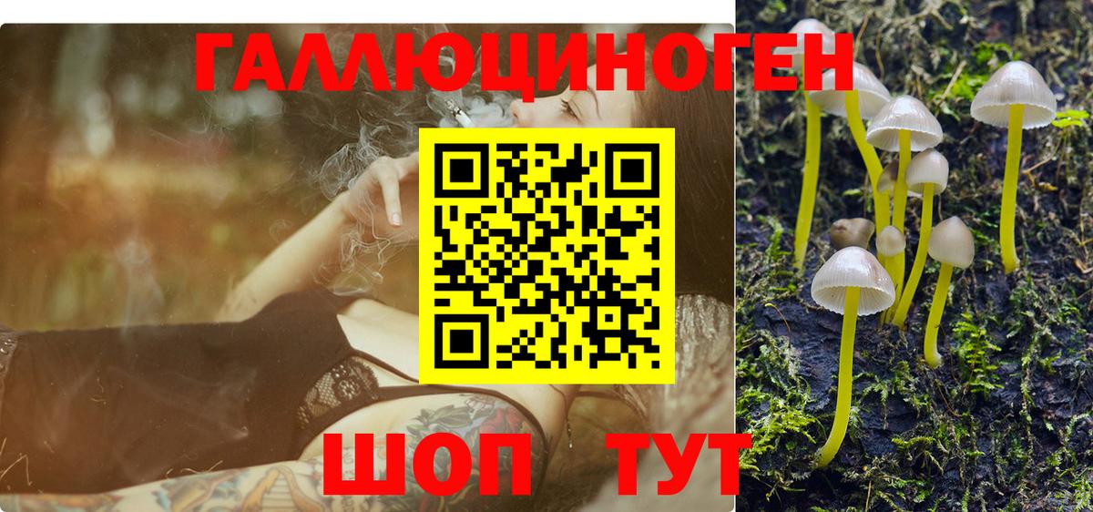 Псилоцибиновые грибы Psilocybe  Вход с VPN  Муром  Галлюциногенные грибы GOLDEN TEACHER 